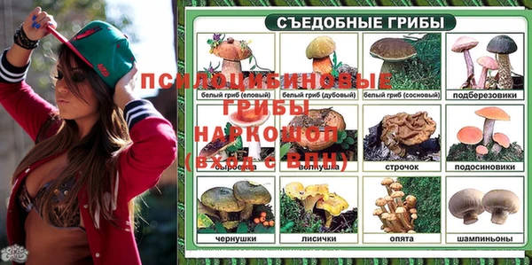 амф Арсеньев