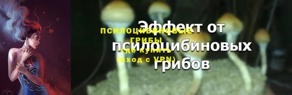 шишки Балабаново