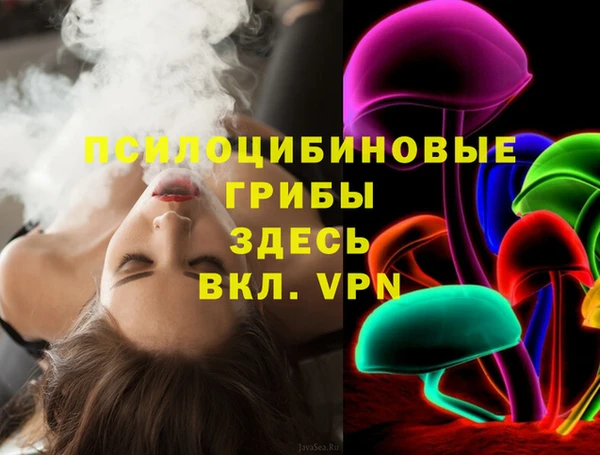 шишки Балабаново